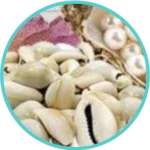 Praval Panchamrit (50mg) Coral Calx, Conch, Pearl Calx Pearl Oyester Shell, Kapardika (Cypraeamoneta)