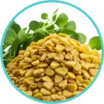 Methi (50mg)(Trigonella Foenum-Graecum)