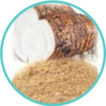 Vidari Extract (50mg) (Pueraria Tuberosa)